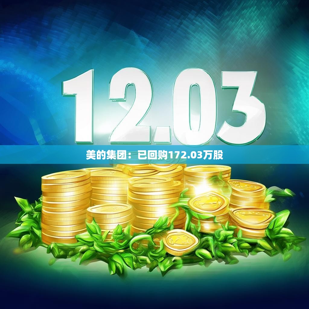 美的集团：积极稳健的投资策略