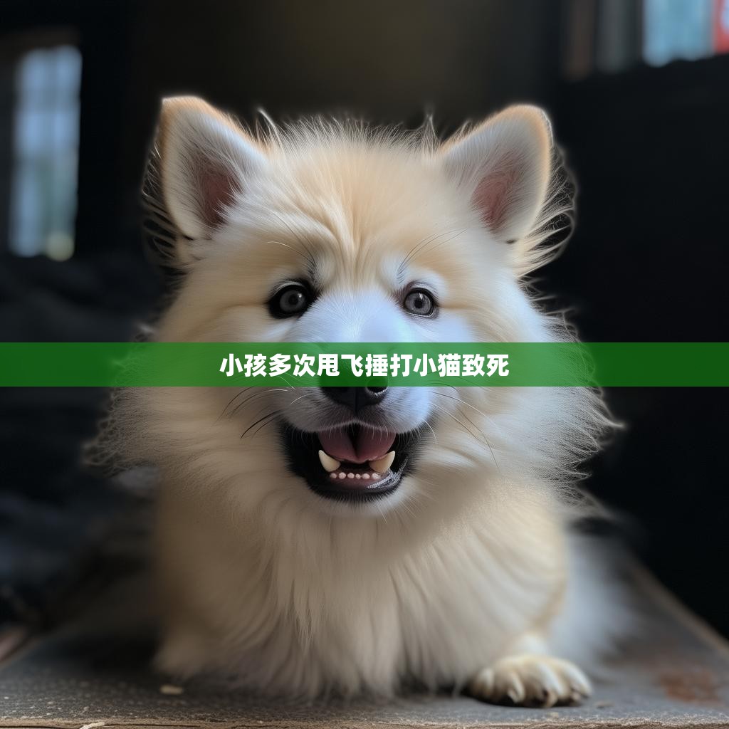 悲剧背后的残酷现实 小孩多次残忍虐待小猫致死